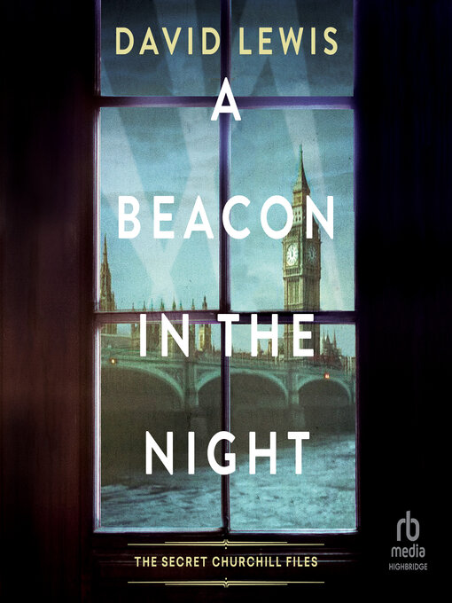 Cover image for A Beacon in the Night